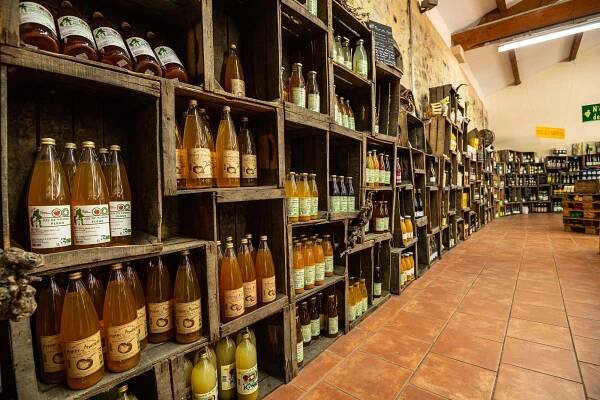 Cave et halles de l’Ardéchoise – Largentière