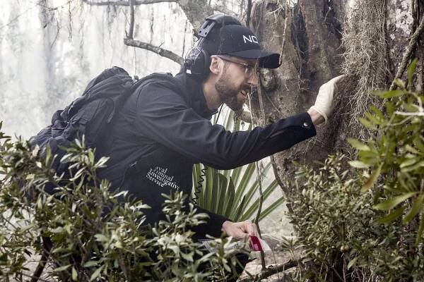 Námořní vyšetřovací služba: New Orleans - Poslední šance - Z filmu - Rob Kerkovich