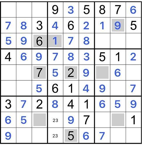 special sudoku 1