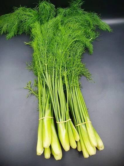 Anglia Produce Ltd