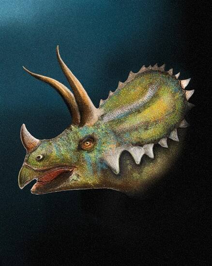 Palaeocast | Palaeontology podcasts