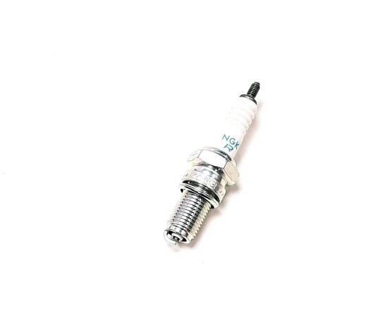 PLUG SPARK (NGK DR8EA) | www.aspshop.cz