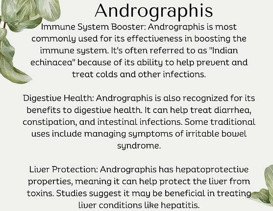 andrographis herb