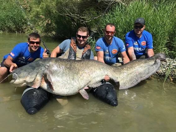 Ebro