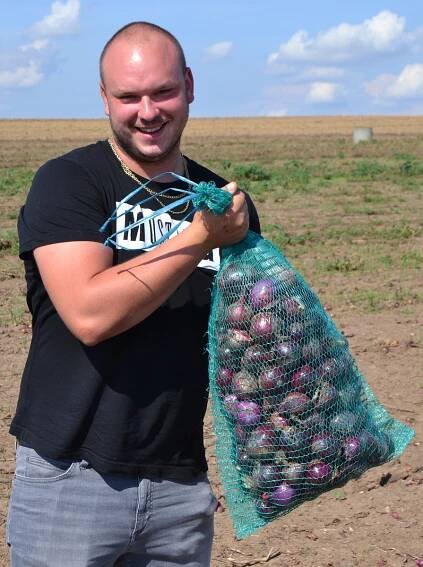 Video, foto: O samosběr cibule přímo z pole je zájem, láká cenou i kvalitou