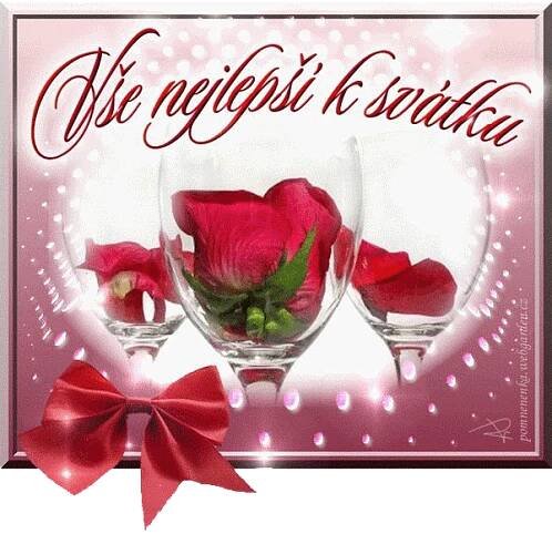 prani_k_svatku