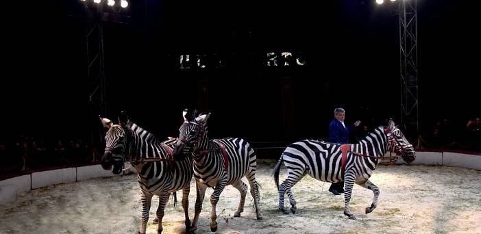 Cirkus Humberto potěšil v Hodoníně i děti z Dětského domova
