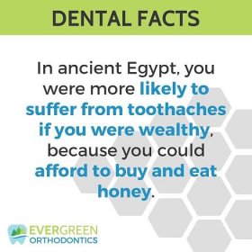 egypt-honey-wealth