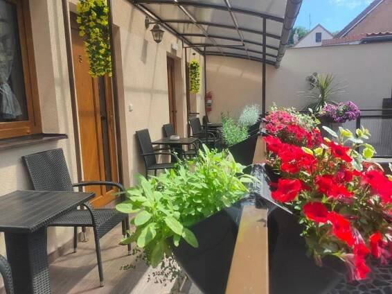 Gallery image ng Apartmány Aranka sa Žatec