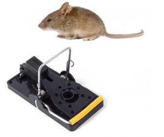 Vysoce citlivá past na myši