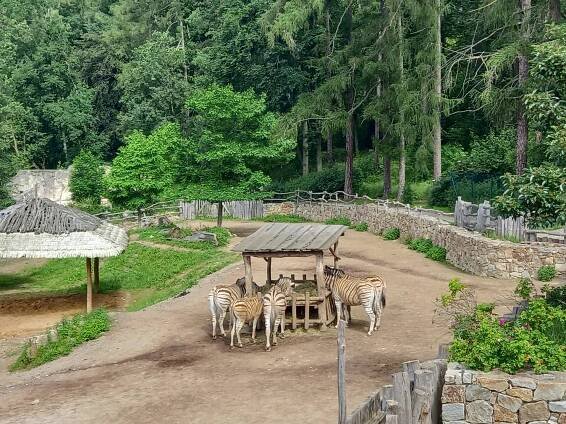 7. třída - Základní škola Mohelno % : Základní škola Mohelno