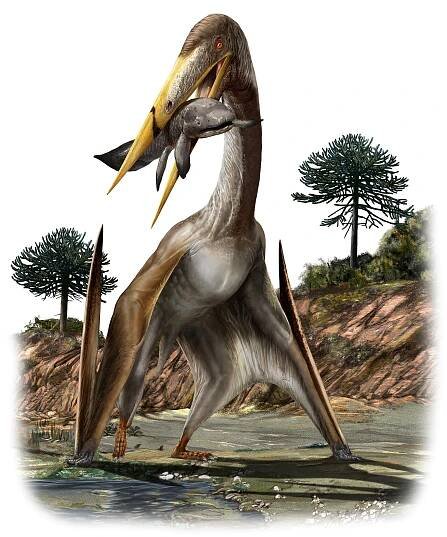 An illustration of a giant pterosaur