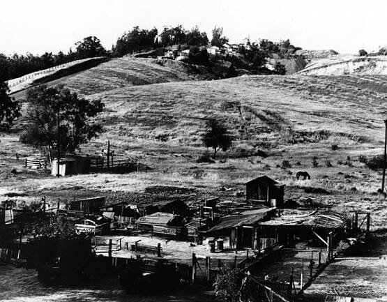 Animals graze in fields outside Chavez Ravine homes in this undated photo. Courtesy of the Photo Collection, Los Angeles Public Library.