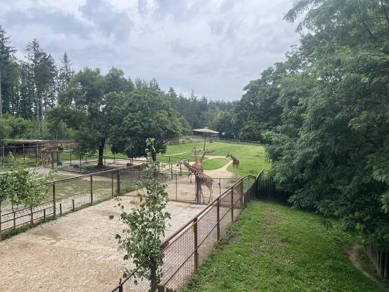 ZOO Olomouc - Základní škola Za Alejí