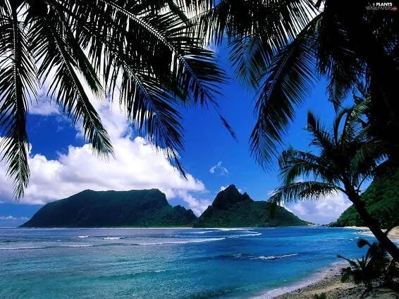 SAMOA | Nejlepší zájezdy - last minute dovolená a hotely
