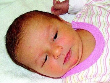 FOTO: Hlasujte o miminko 5. týdne roku 2011