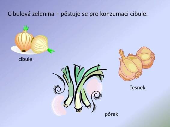 PPT - Zelenina PowerPoint Presentation, free download - ID:6394694