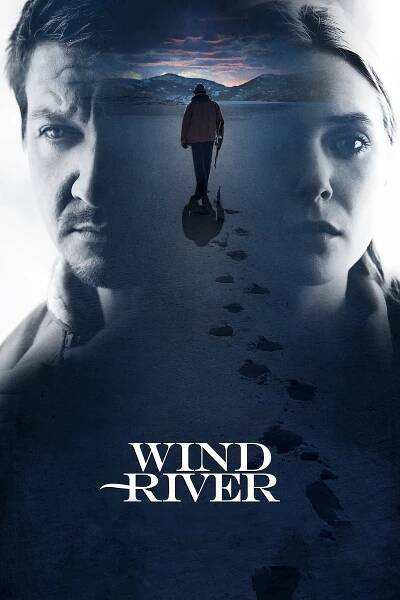 Wind River - Tržby a návštěvnost
