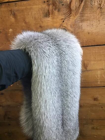 Blue Sapphire Frost Ranch Fox