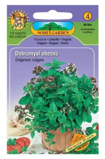 Nohel Garden Dobromysl obecná - oregano nakoupit u OBI