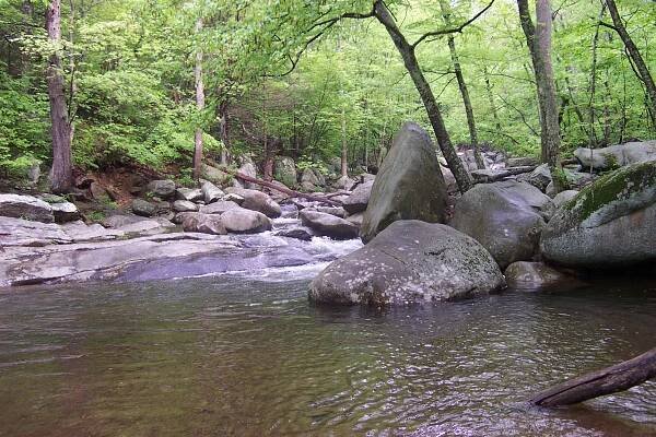Rapidan Pictures