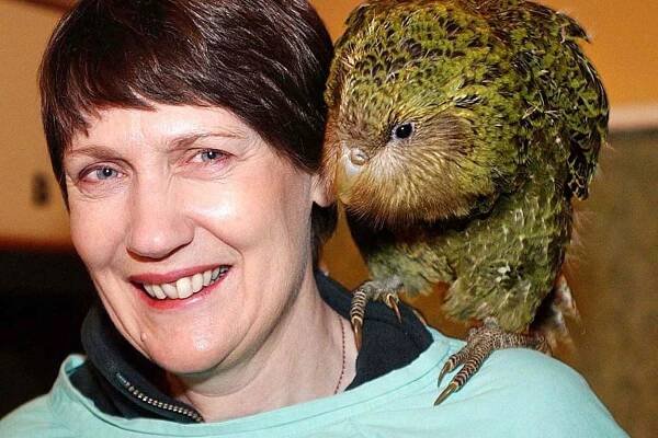 The kakapo – perched on the shoulder of former New Zealand prime minister Helen Clark – becomes the country’s Bird of the Year for a second time
