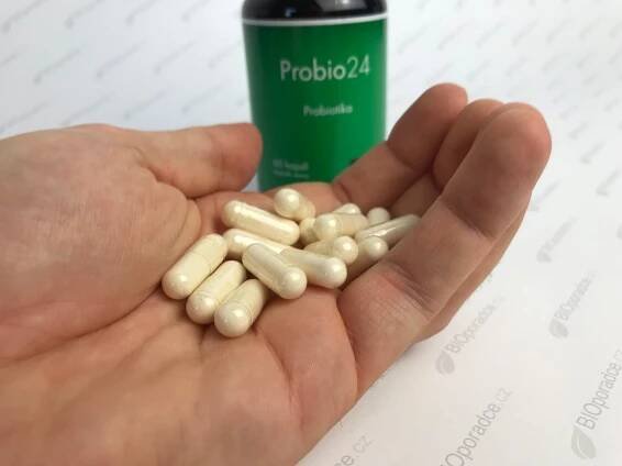 Probio24 - zkušenosti