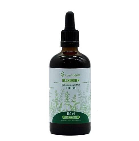 Alchornea (Alchornea cordifolia) Tinktura 1:2 (100 ml)