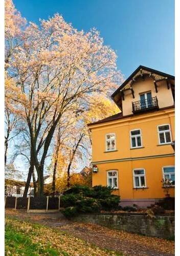 a yellow house with a tree in front of it at Hotel Praha Potštejn in Potštejn