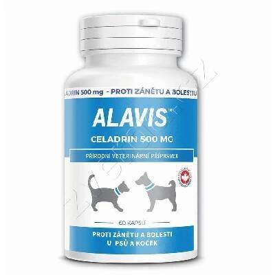 Alavis Celadrin pro psy a kočky 60cps 500mg