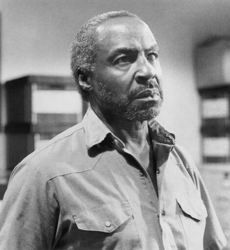 Robert Guillaume | Rikrek.com