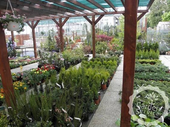 Prodejna, zahrady - Zahradnictví Garden Service Kladno