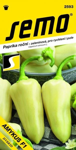 SEMO Amykus F1 paprika roční 15 ks