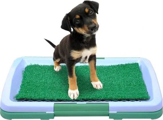 Toaleta pro psy Paws n Claws