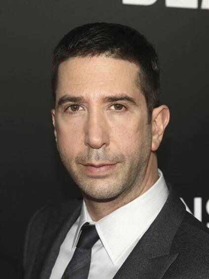 Přátelé ze mě udělali samotáře, říká David Schwimmer