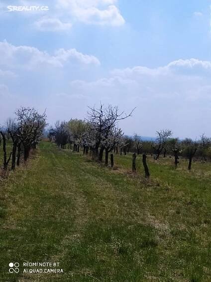Prodej Pozemek, Mikulovice, okres Znojmo