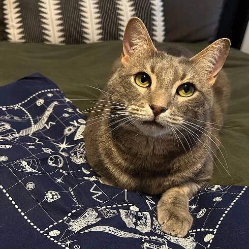 NASA PACE Blog - Meet the Pets of PACE