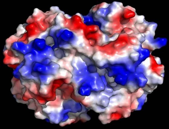 Hemoglobin Esthetics - Famous Proteins in Frames
