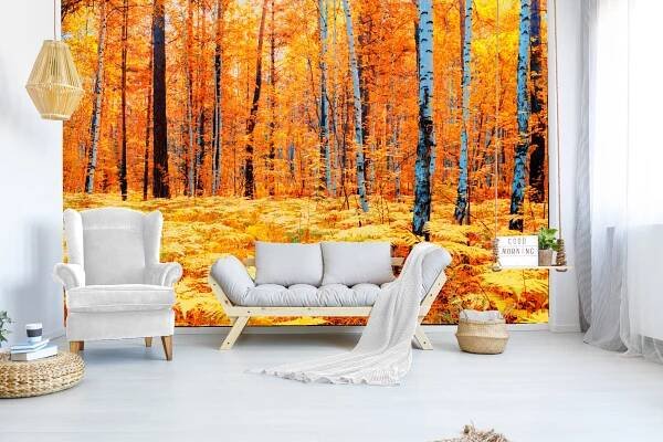 Fototapeta Žlutý podzimní les - vliesová tapeta na míru - moorals.cz