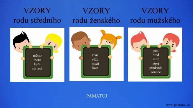 Skloňování podstatných jmen podle vzorů