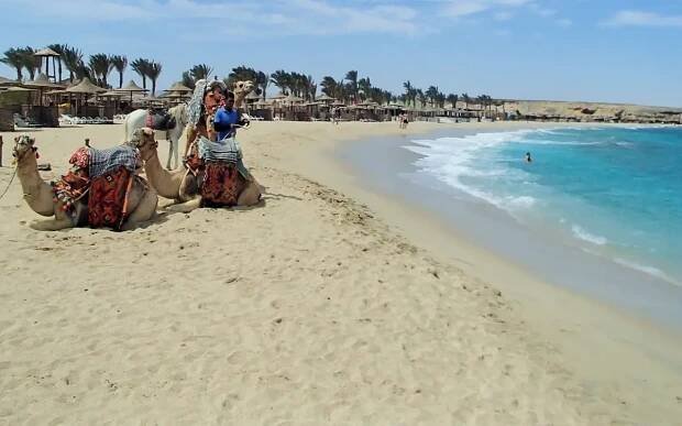 Invia: Egypt - Marsa Alam na 8 až 15 dní,.. - Skrz.cz