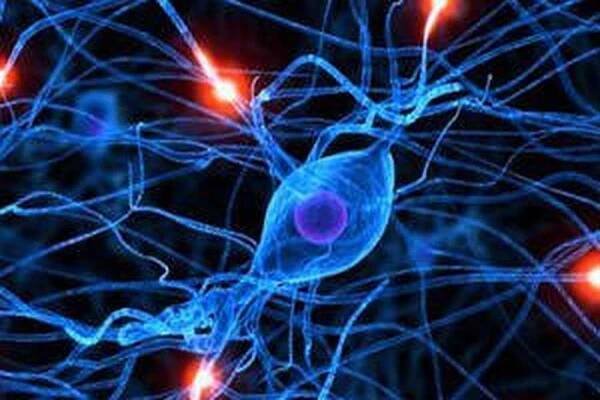 Neuropatie / Neuropatie