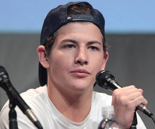 Tye Sheridan Biography - Facts, Childhood, Family Life & Achievements