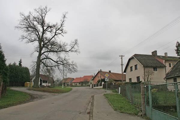 Licibořice
