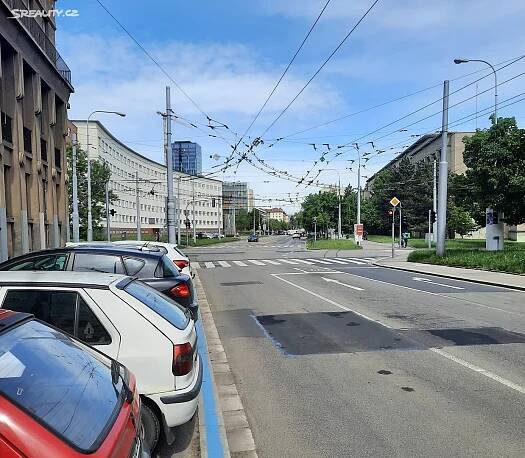 Pronájem bytu 4+1 154 m², Kounicova, Brno - Veveří