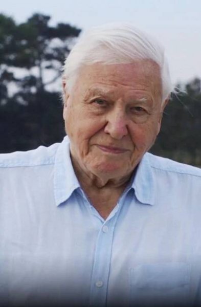 David Attenborough joined Instagram. Four hours later he had 1 million followers