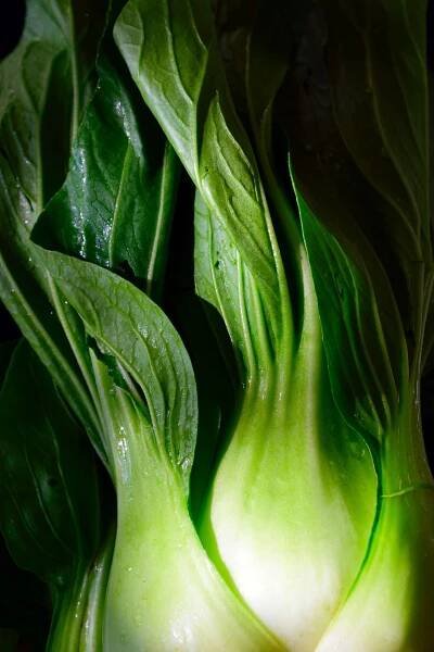 This vegetarian udon noodle recipe with bok choy and shiitake mushrooms is a delicious and filling easy udon noodle recipe that’s ready in just 15 minutes and great for a weeknight dinner. Soft and slurpy udon noodles with crisp, fresh bok choy and meaty shiitake mushrooms dressed simply with soy sauce will satisfy every craving! 