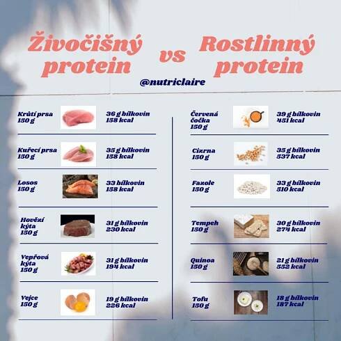 Živočišné vs rostlinné bílkoviny