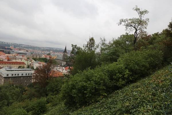 Vrch Vítkov čeká komplexní úprava severních svahů