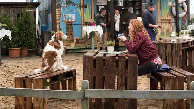 Veterinář vyšetřuje - Gold! - Z filmu - Marleen Lohse